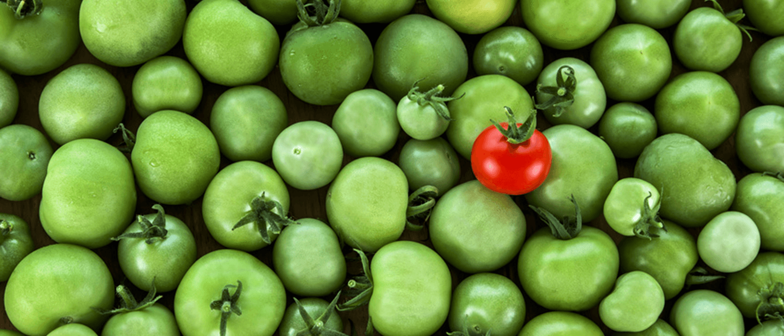 Rode tomaten planten: Hoe je altijd de aandacht van online bezoekers vasthoudt